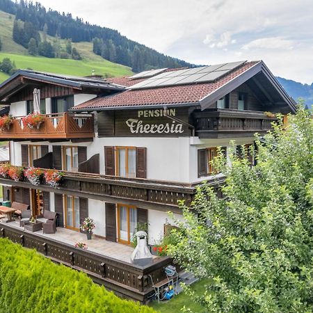 Pension Theresia Dorfgastein Buitenkant foto